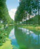 France, Normandy, french river with poplars, summer,