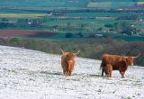 UK, Scotland, Perth and Kinross, spring snowfall