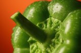 Close up shot of green capsicum pepper