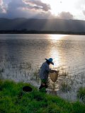Fisherwoman in Blue Hat - Koh Samui