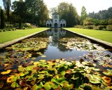 Great Britain/Wales/Gwynedd: Lily Pond at Bodnant Gardens