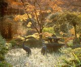 UK, England, Cheshire, Tatton Park and Gardens, Japanese Garden detail, autumn,