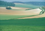 France, Normandy, agricultural landscape