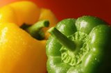 Close up shot of green and yellow capsicum pepper