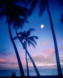 USA/Hawaii/Oahu: Evening at Waikiki's Kapiolani Park