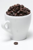 Coffee beans in a cup, plus single bean