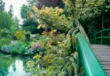 France, Giverny, Monet's Garden, spring