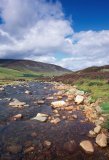 Scotland, Aberdeenshire, Glen Clunie, River Clunie and heathers