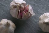 Close up shot of garlic bulbs and cloves