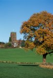 UK, England, Cheshire, Great Budworth, village church, autumn