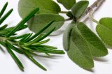 Rosemary and Sage Herbs