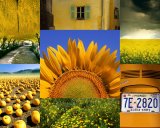Photo Art: The Colour Yellow (Composite)