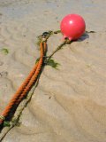 Buoy on beach rope 
