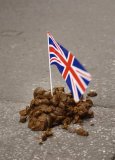 Union jack flag in horse droppings