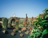 Spain, Lanzarote, Jardin de cactus.