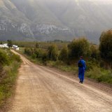 South African farm worker walking to work along dirt track, Swellendam, Overberg, Western Cape Province, South Africa, Africa.