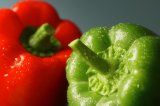 Close up shot of green and red capsicum pepper