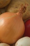 Close-up of an onion, surrounded by other vegetables.