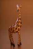 Fine art Giraffe
