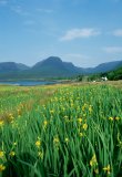 UK, Scotland, Highlands, view over Loch Kilshorn with yellow flags