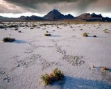 USA/Utah: Great Salt Lake Desert (Bonneville Salt Flats)
