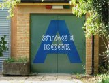 Stage Door: film theatre play celebrity performer singer musician concert back door entrance A fan worship unauthorised no entry rock TV T.V. television A-list B-list autograph