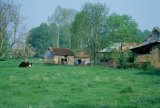 France, Normandie, traditional farm buildings, spring