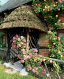 UK, thatched cottage, entrance