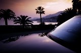 Reflection of palm trees on car bonnet
