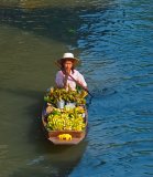 Lady Rowing Long-tail Boat of Bananas - Bangkok.